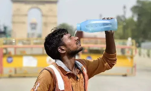 summer, world bank, india
