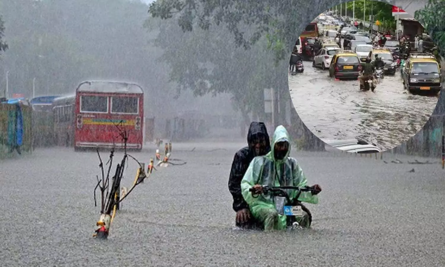 stalin, chief minister, chennai