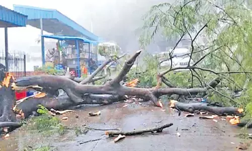 మాండూస్ ఎఫెక్ట్ .. మామూలుగా లేదుగా