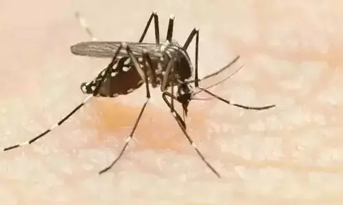 రాష్ట్రంలో జికా వైరస్ తొలి కేసు