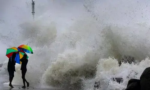 cyclone mandous effect