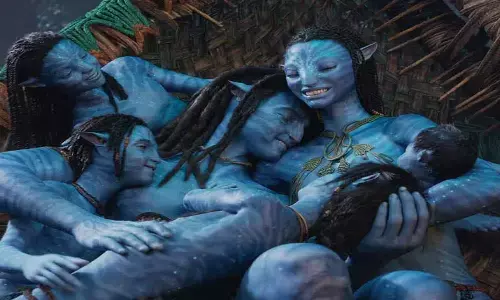 Avatar 2 Collections, Avatar 2 Collections in india