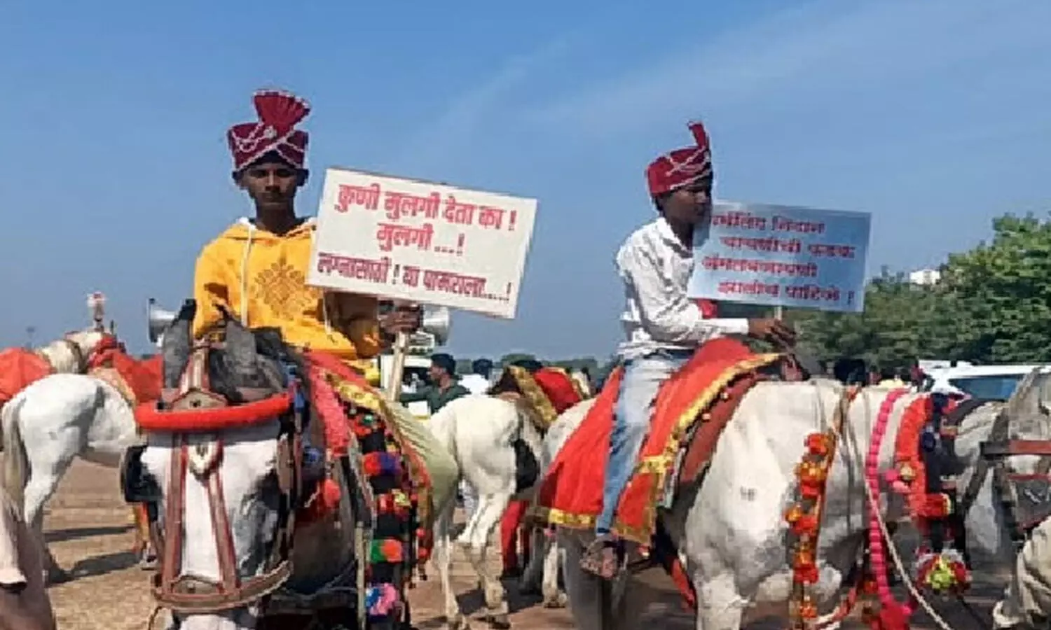 unmarried youth protest , maharastra