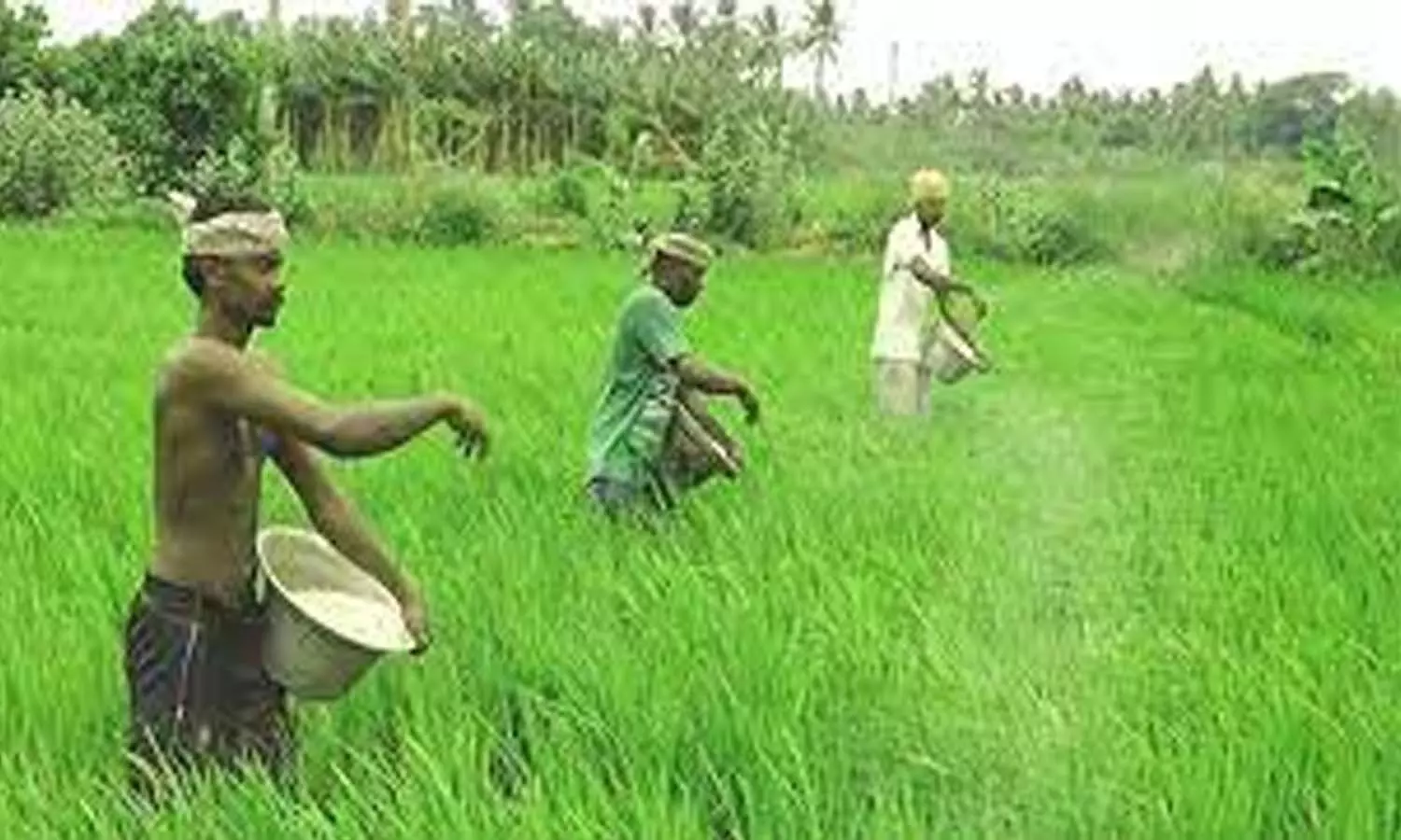 rythu bandhu, farmers, telangana