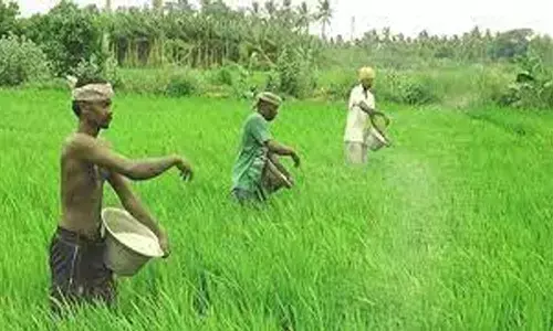 rythu bandhu, farmers, telangana