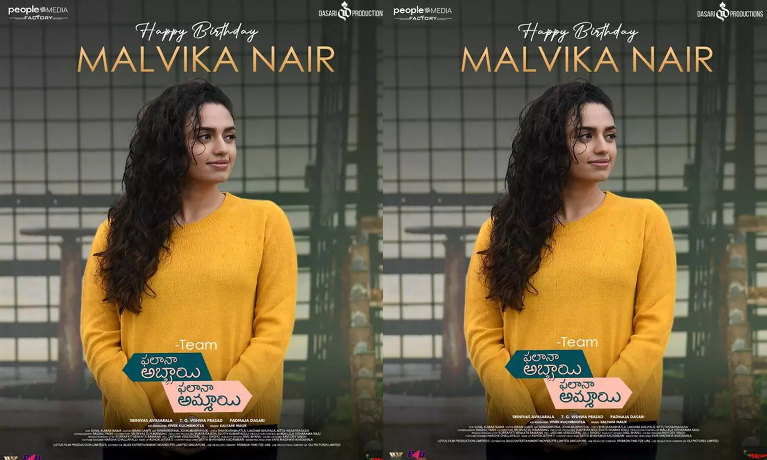 Malavika nair, Naga Shourya, Phalana Abbayi Phalana Ammayi