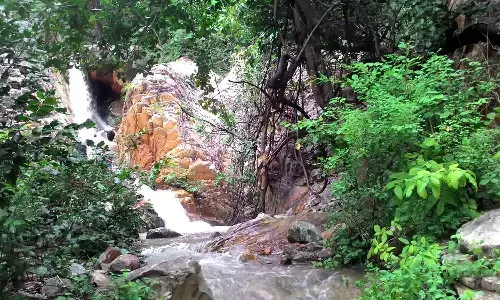 sumanth, forest, safe