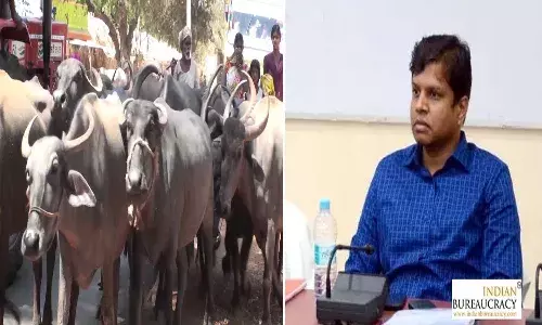 కలెక్టర్ సామీ.. పశువులపై పతాపమా?