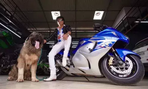 మీరు నమ్ముతారా... ఈ కుక్క ఖరీదు రూ.20 కోట్లు