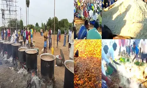 mutton meals festival