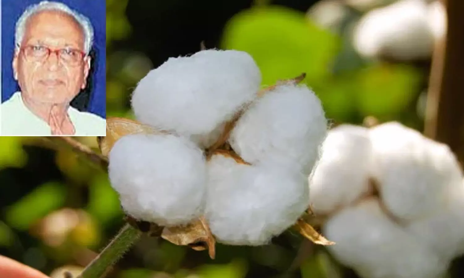 jayaprakash narayana father in law, k paparao, varalakshmi cotton seeds