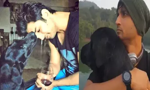 నువ్వు కూడా సుశాంత్ దగ్గరికి వెళ్లిపోయావా : సోదరి భావోద్వేగ ట్వీట్