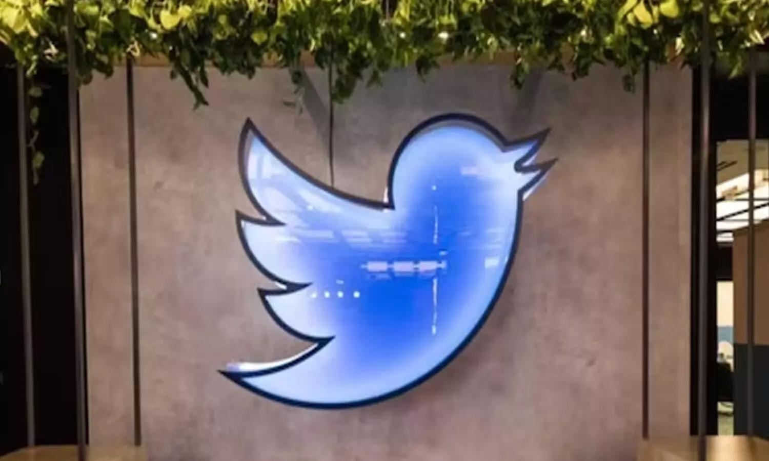 twitter bird sold out