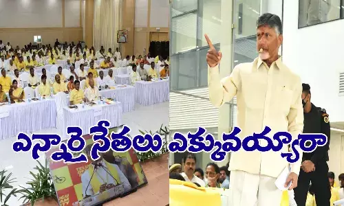 టీడీపీలో ఎన్నారైలు ఎక్కువయ్యారా?