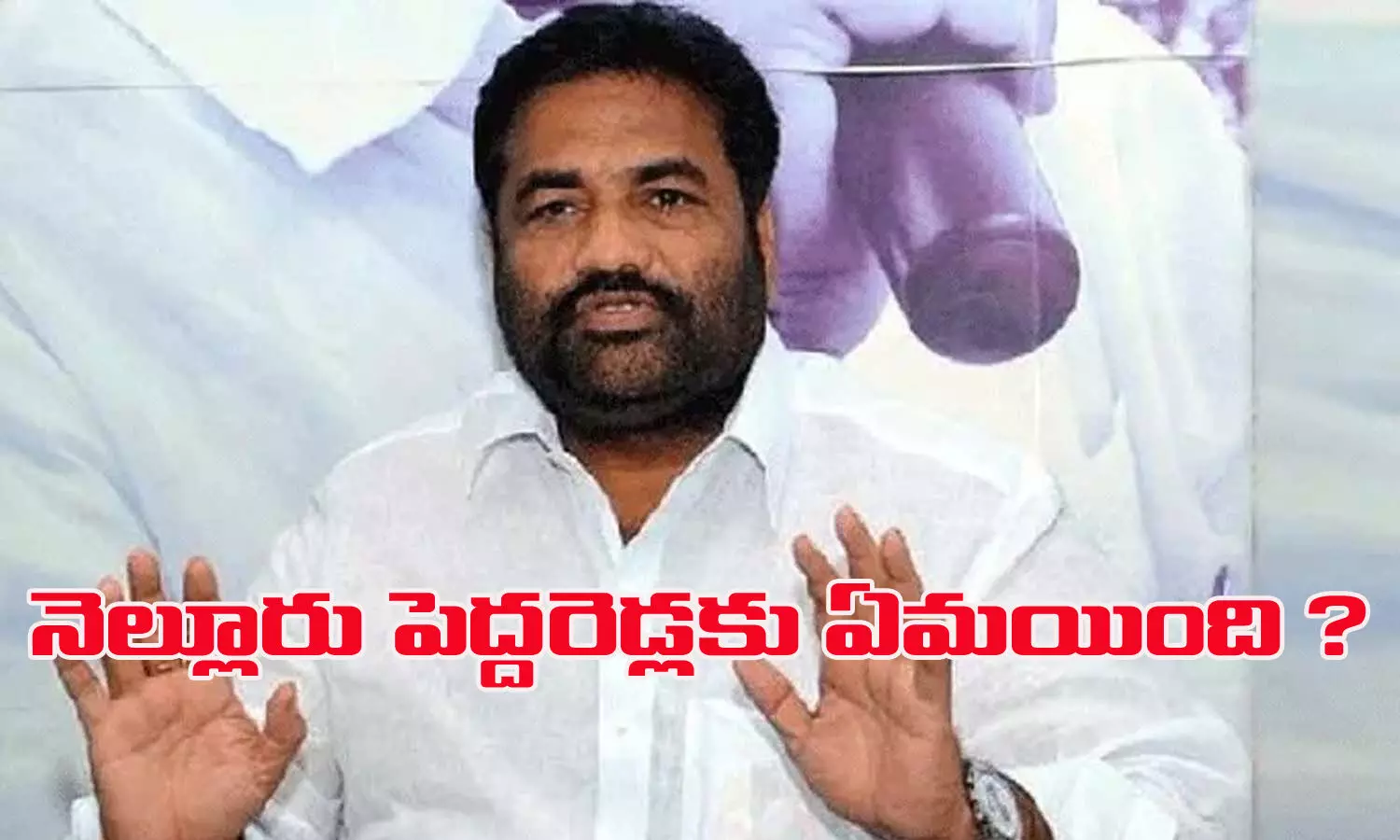 నెల్లూరు పెద్దరెడ్లకు ఏమయింది? నెల్లూరు పెద్దరెడ్లకు ఏమయింది?