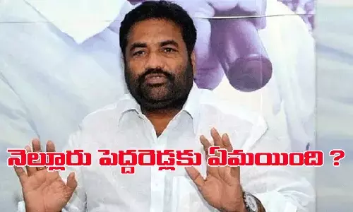 నెల్లూరు పెద్దరెడ్లకు ఏమయింది?
