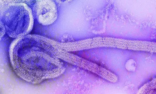 కలవరపెడుతోన్న కొత్త వైరస్.. 9 మంది మృతి ; డబ్ల్యూహెచ్ఓ ఎమర్జెన్సీ సమావేశం