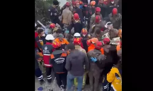 new survivor in turkey