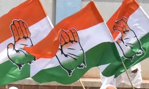 plenary, congres, rayapur