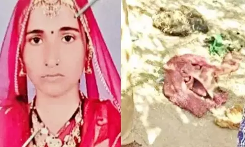 naguar murder case, rajasthan crime news