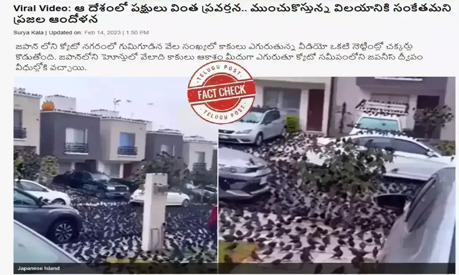 నిజ నిర్ధారణ: వీధిలో దండుగా కాకులు కూర్చున్న వీడియో జపాన్ లోని క్యోటో లో తీసినది కాదు, మెక్సికో లోనిది నిజ నిర్ధారణ: వీధిలో దండుగా కాకులు కూర్చున్న వీడియో జపాన్ లోని క్యోటో లో తీసినది కాదు, మెక్సికో లోనిది