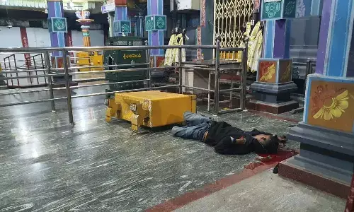 watchman, attack,  thief, died