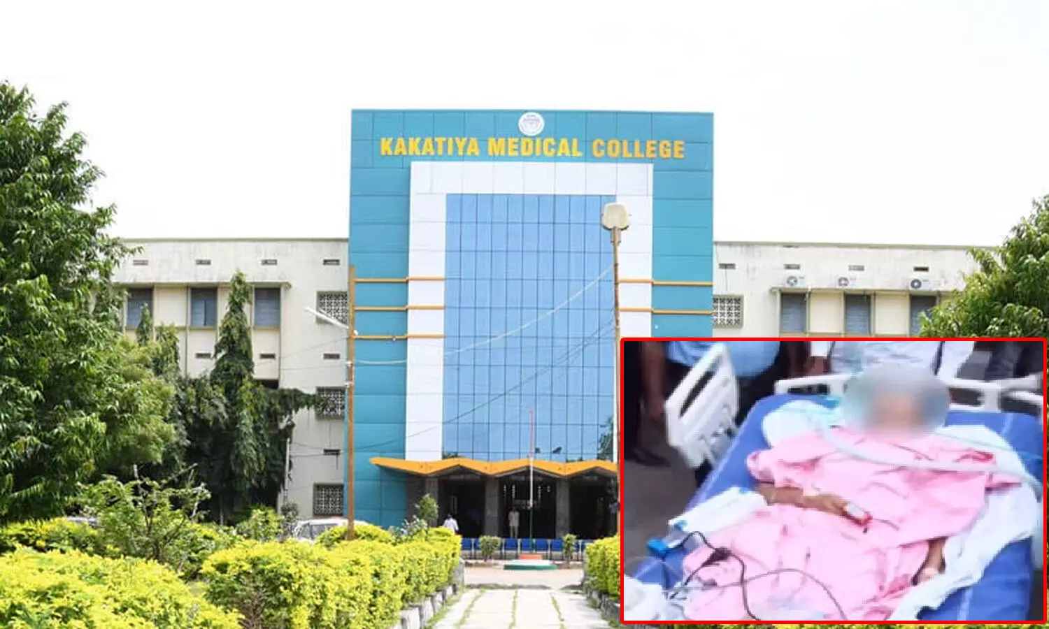 warangal medico preeti suicide attempt