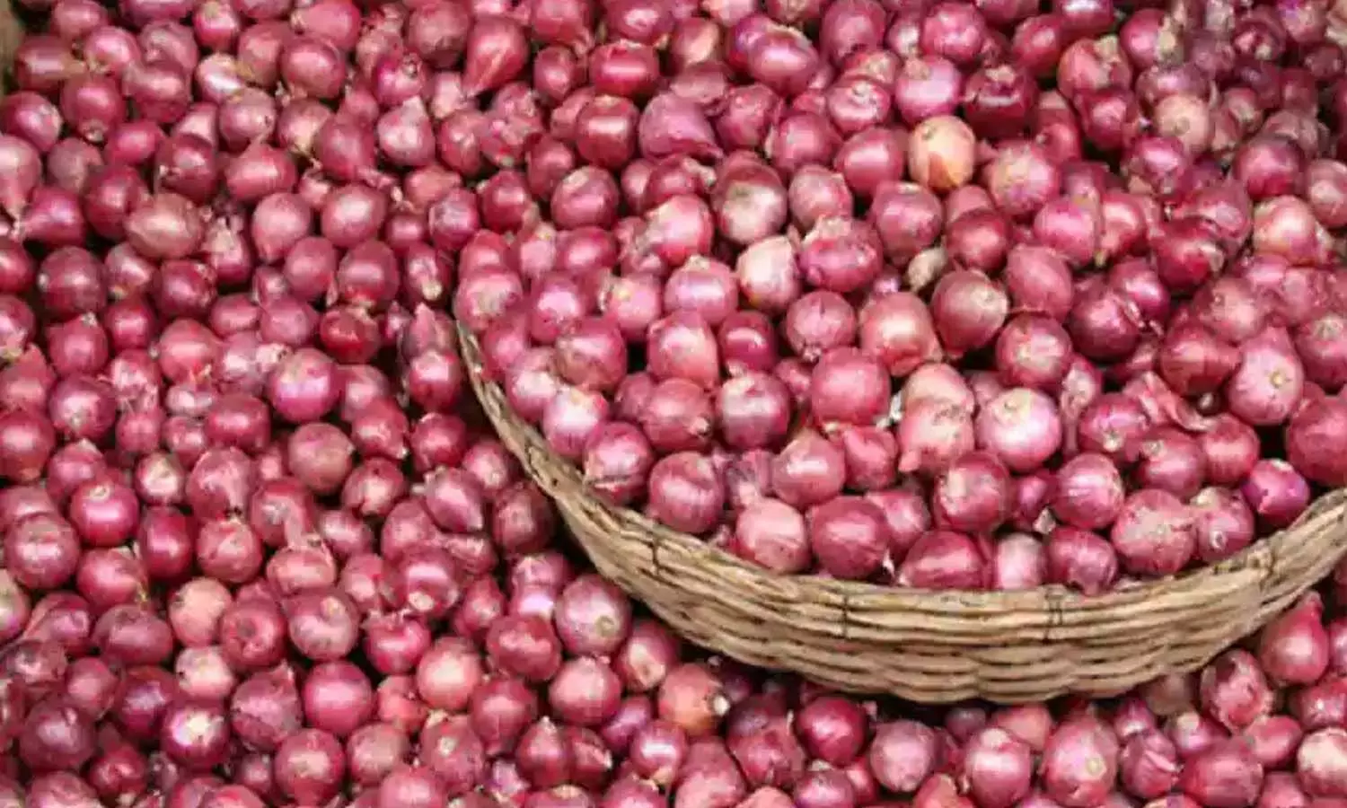 relief to onion farmersm, support price,  kurnool district, andhra pradesh
