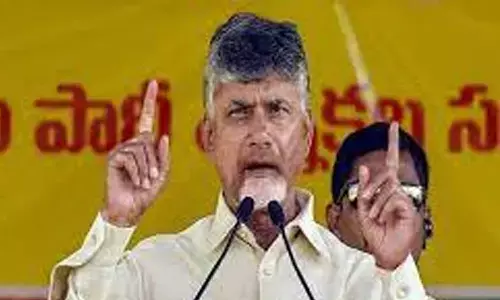 legal cell, tdp, conference