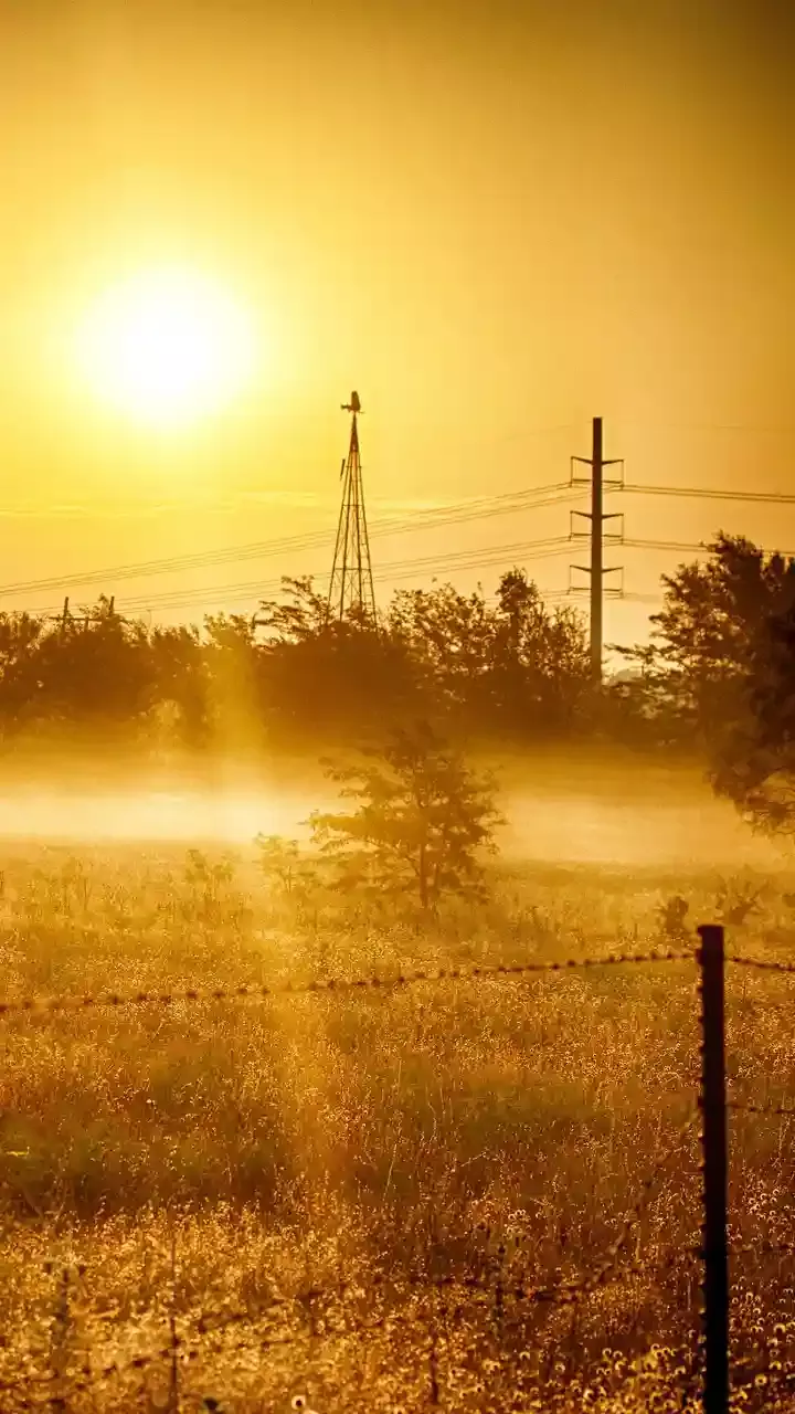 వేసవిలో తీసుకోవలసిన జాగ్రత్తలు