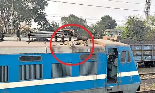 రైలుపై చిరుత కళేబరం