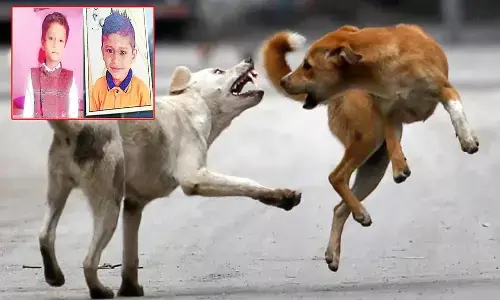 siblings killed in dogs attack
