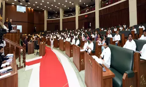 ఇద్దరు టీడీపీ సభ్యుల సస్పెన్షన్