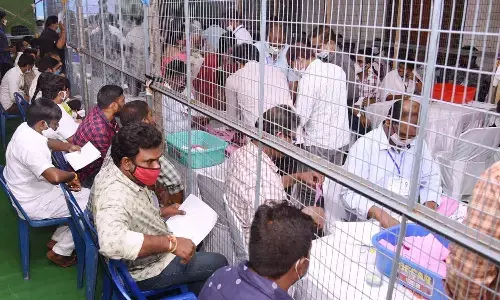 ycp, mlc elections, local bodies