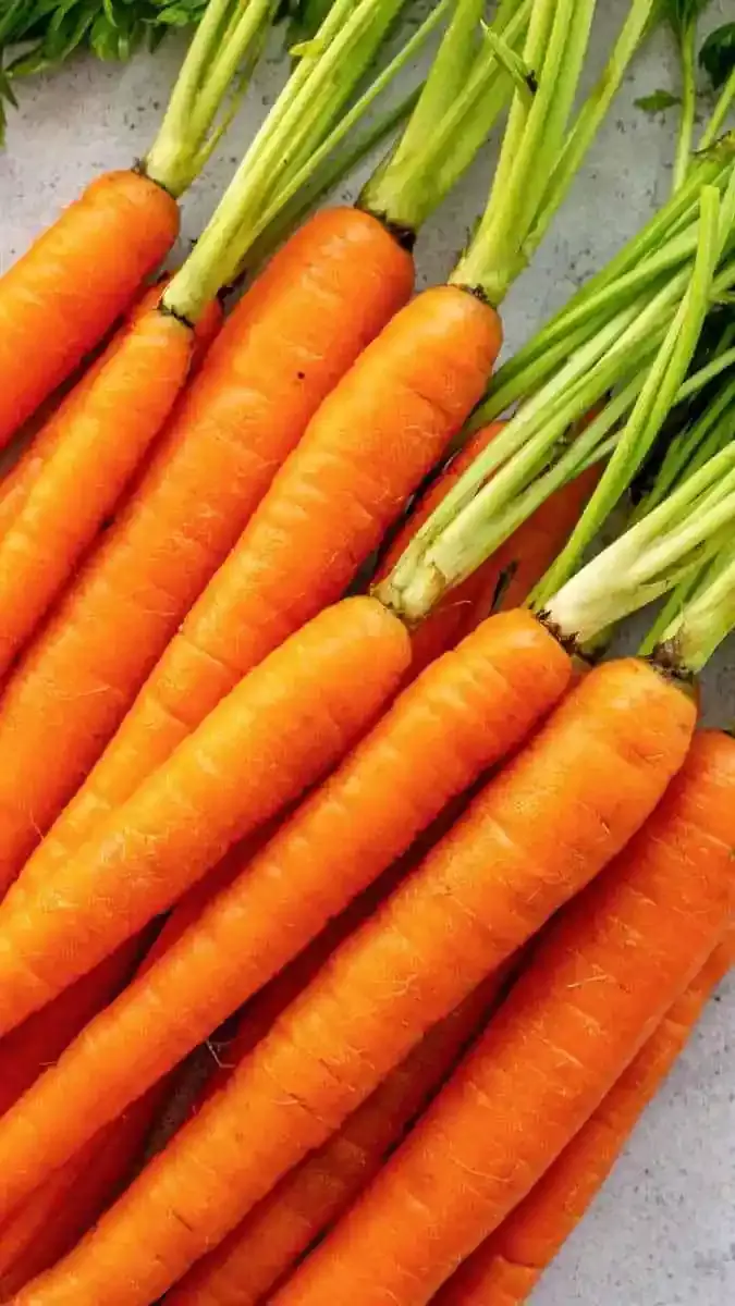 ప్రతిరోజూ క్యారెట్ తినడం వల్ల కలిగే ఉపయోగాలు