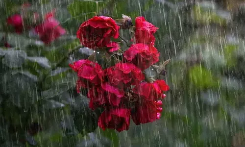 ap and telangana weather today