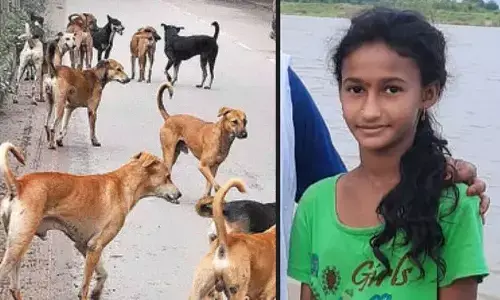 karimnagar maheswari, stray dogs attack