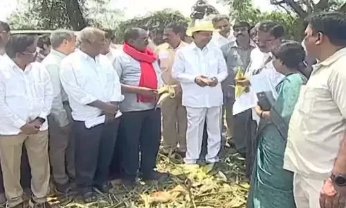 భారీ పరిహారం ప్రకటించిన కేసీఆర్