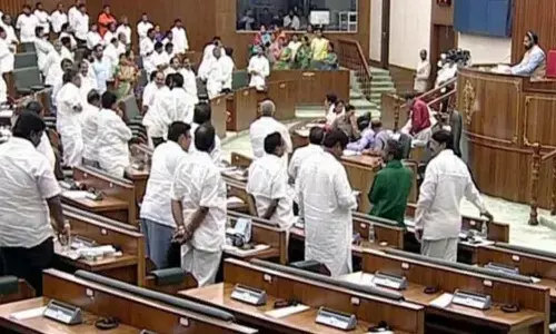 mlas, mlc elections, assembly
