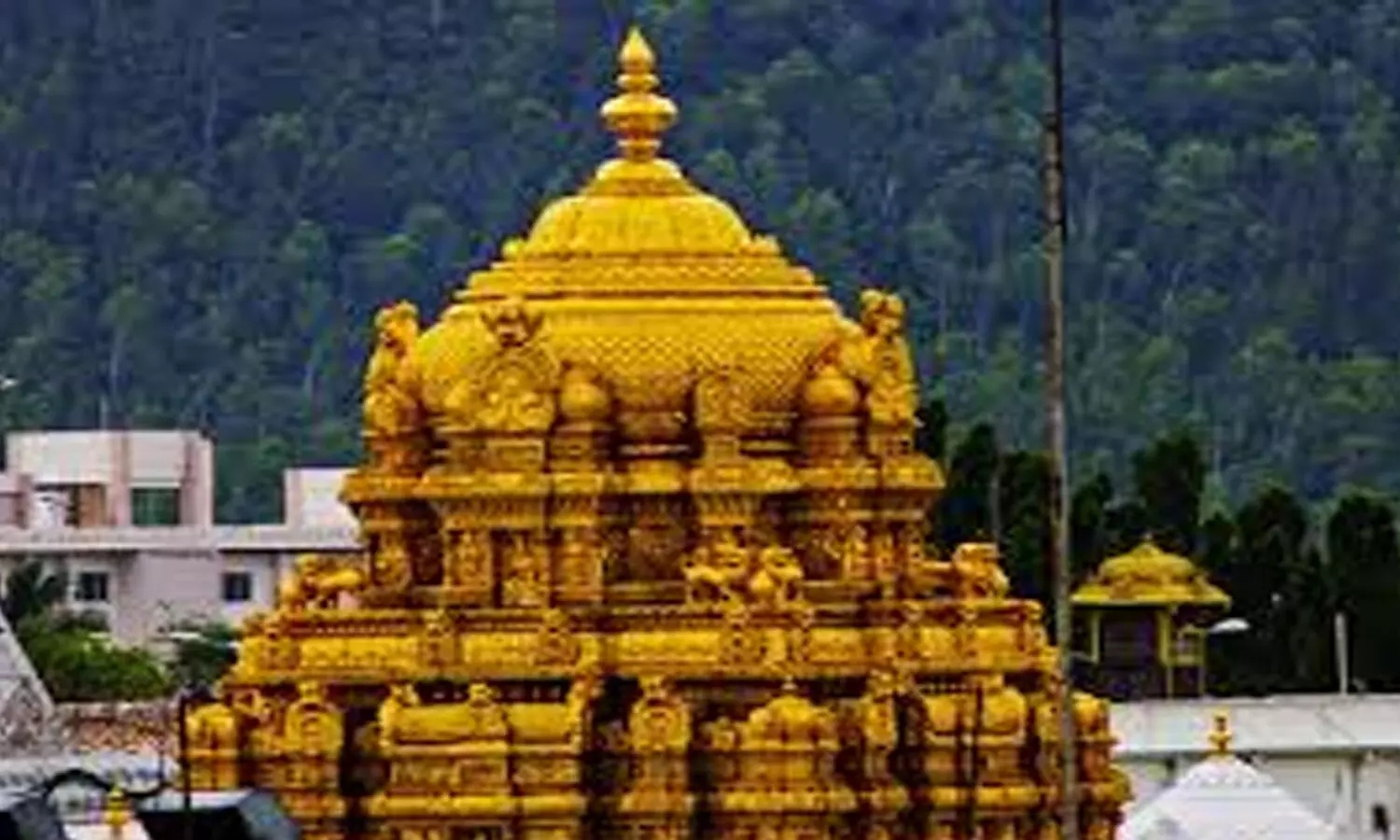 rush, divotees, tirumala