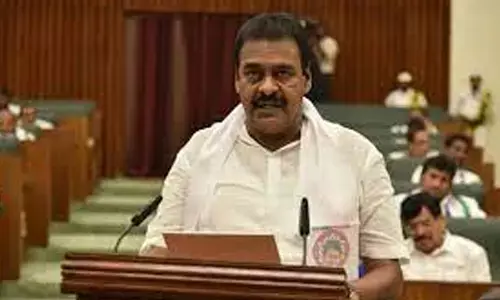 దొంగఓట్లతోనే గెలిచా : ఎమ్మెల్యే రాపాక