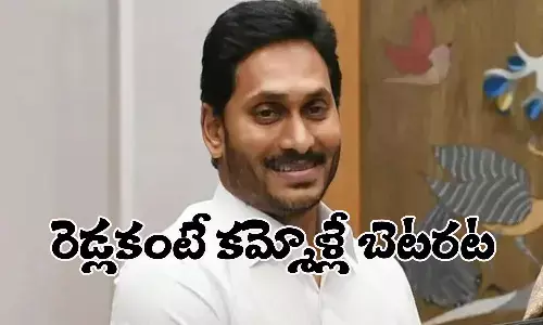 రెడ్ల కంటే కమ్మోళ్లే బెటరట