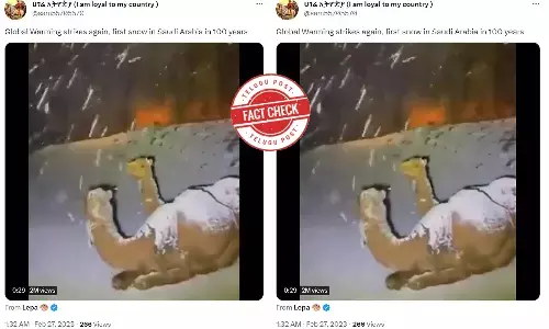 Fact Check: Viral video shows the first snowfall in the last 100 years in Saudi Arabia due to global warming. NO