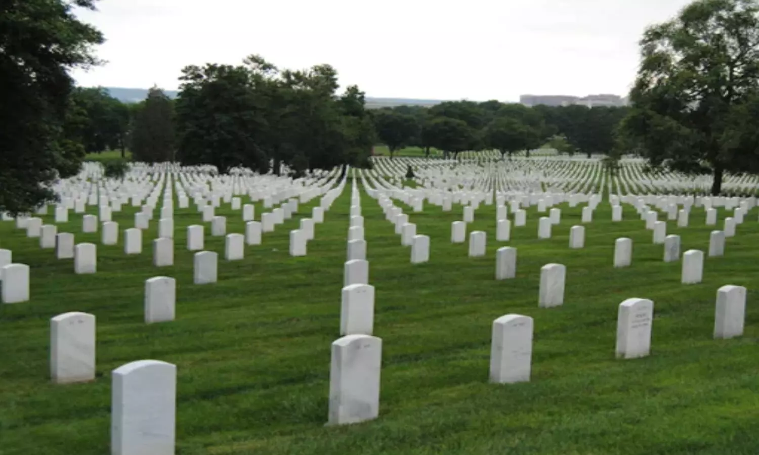 man digs up mothers grave, poland crime news