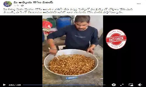 Fact Check: Claim on manufacture of artificial cashew nuts is false