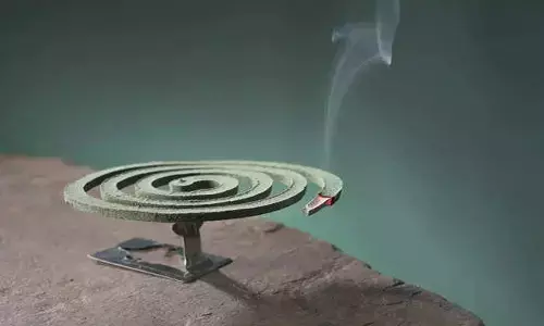 mosquito coil set fire in delhi, 6 members died of mosquito coil