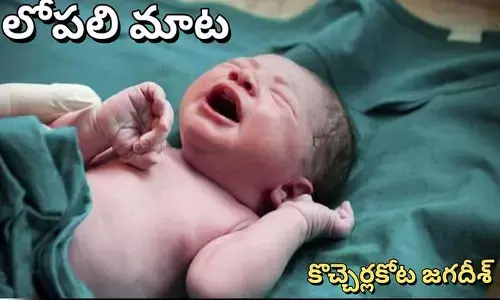 ఎంత స్వేచ్ఛ?