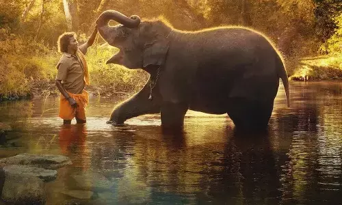 ఆ ఏనుగు వద్దకు వెళ్లనున్న మోదీ