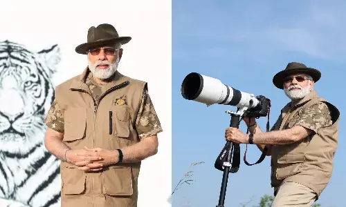 పులుల మధ్య మోదీ