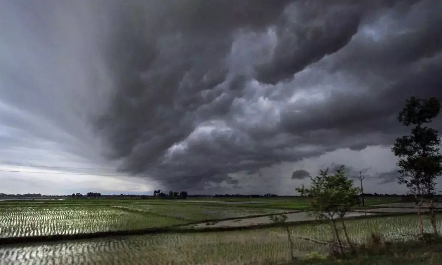 india monsoon report 2023, skymet report india monsoon report 2023, skymet report